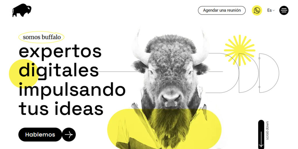buffalo agencia de marketing digital en argentina