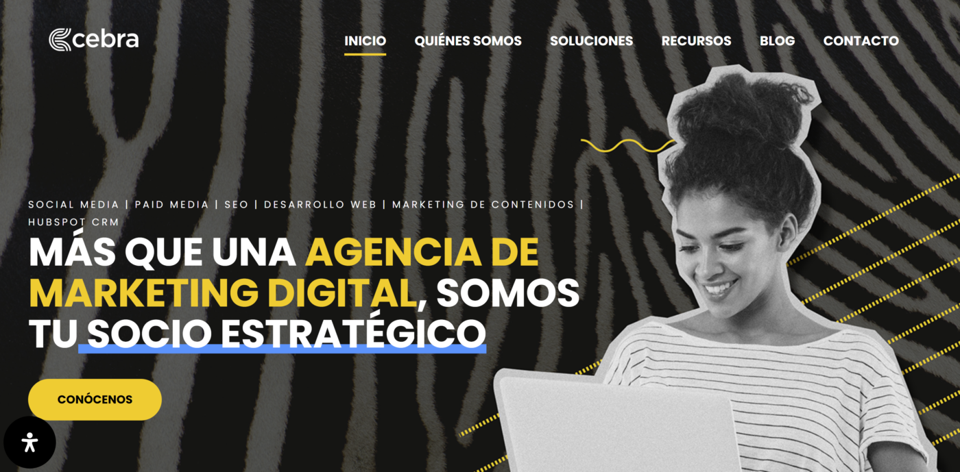 cebra agencia de marketing digital en chile