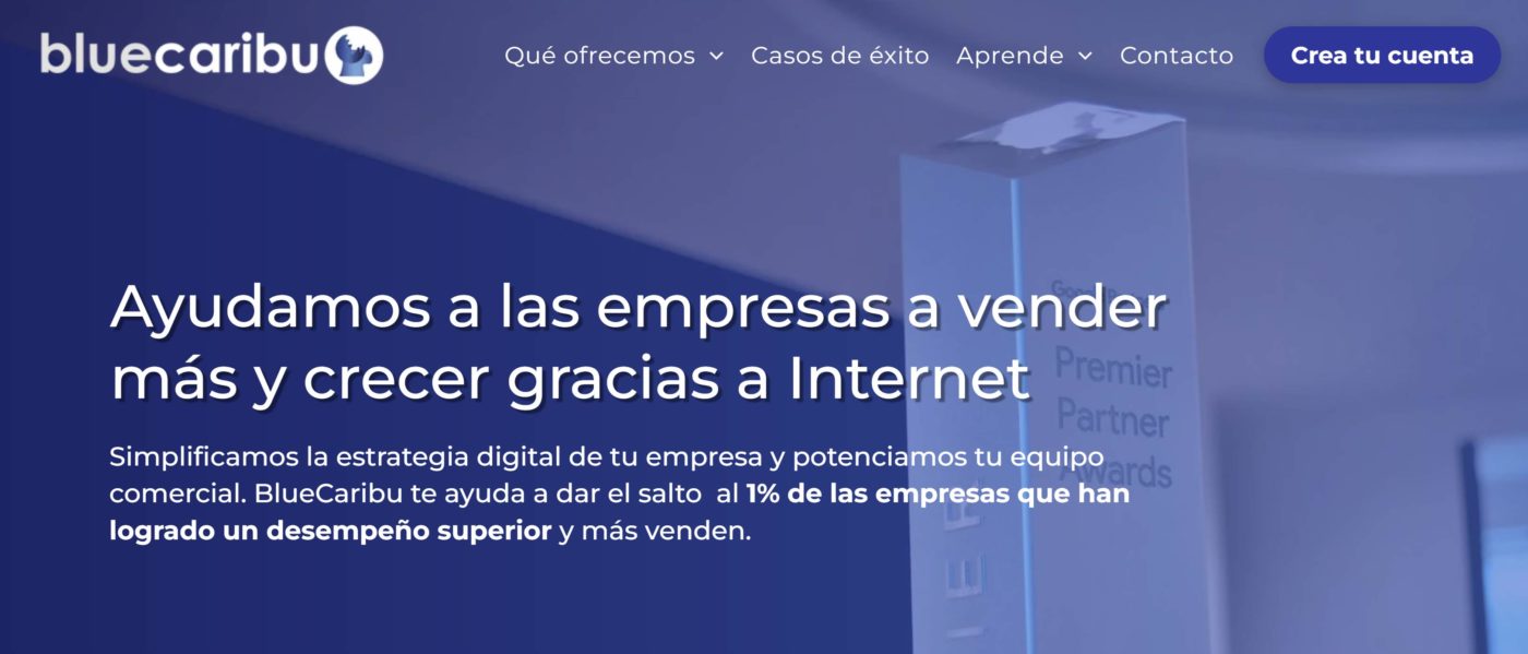bluecaribu agencia de marketing digital en colombia