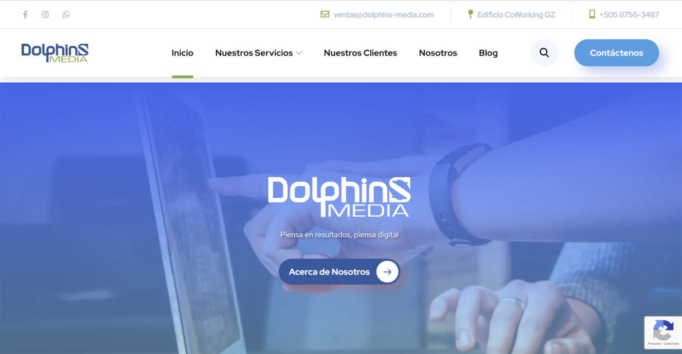 dolphins agencia de marketing digital en nicaragua