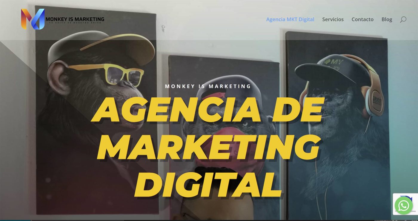 monkeyismarketing agencia de marketing digital en republica dominicana