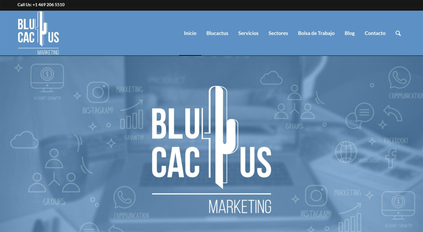 blucactus agencia de marketing digital en venezuela