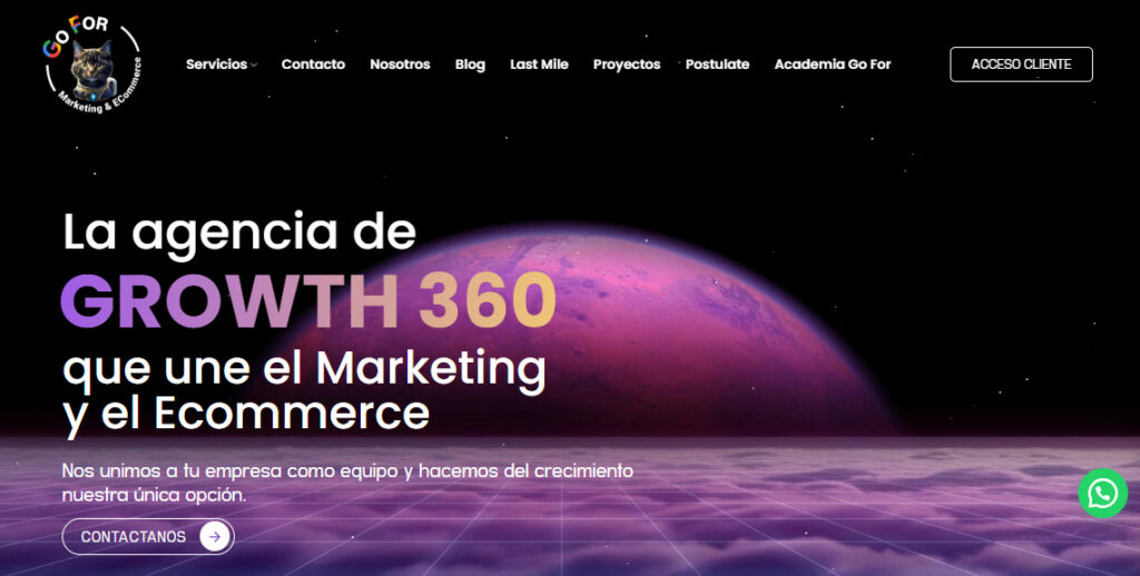 go for marketing ecommerce agencia seo en argentina