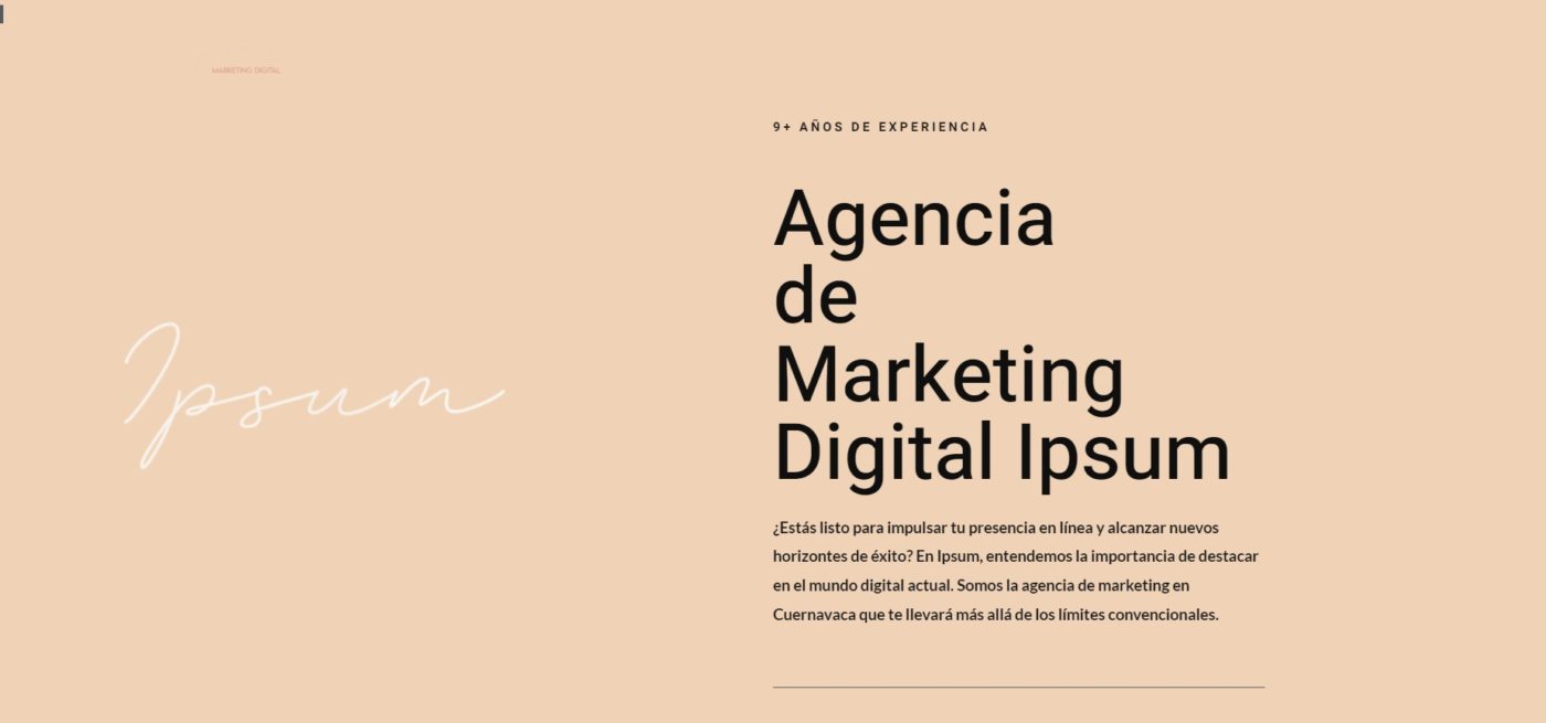 ipsum agencia de marketing digital en cuernavaca
