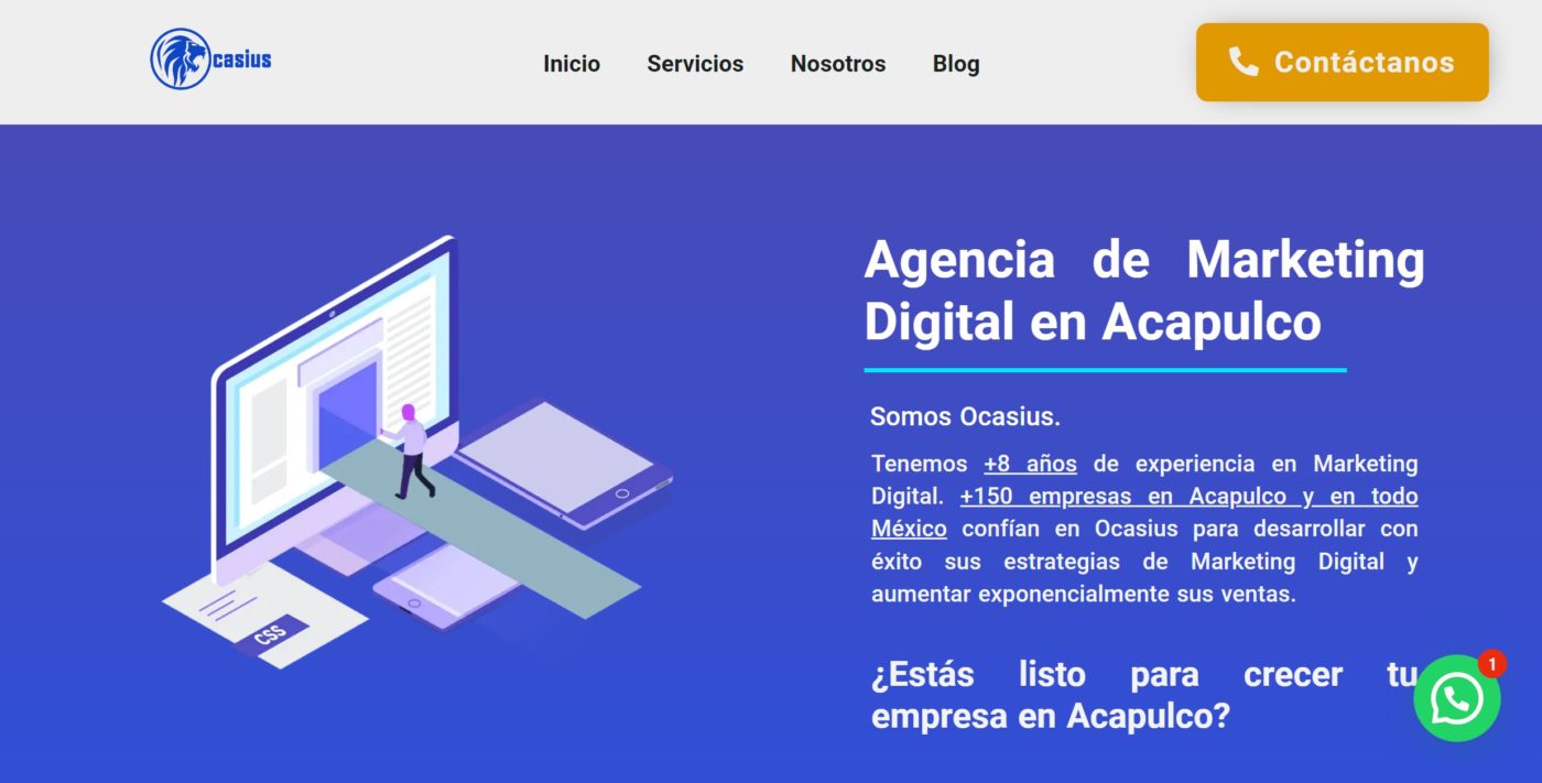 ocasius agencia de marketing digital en acapulco