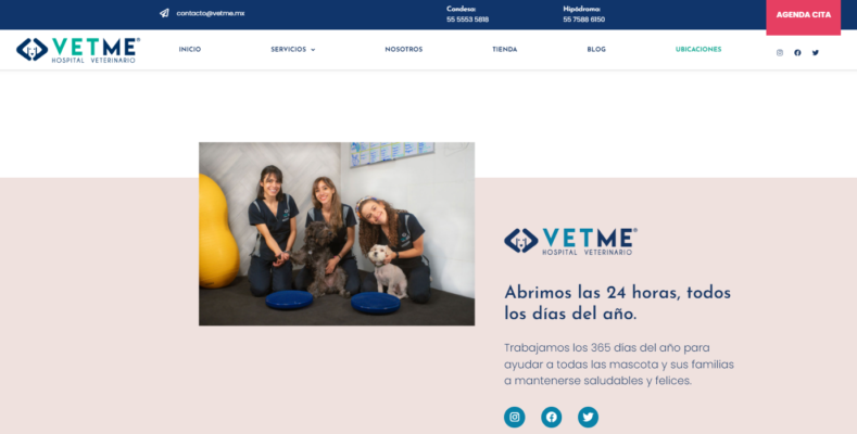 pagina web atractiva y optimizada para veterinaria