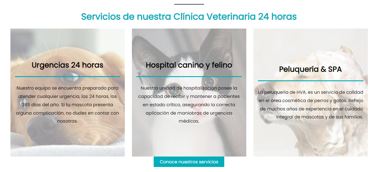 servicios de la clinica veterinaria