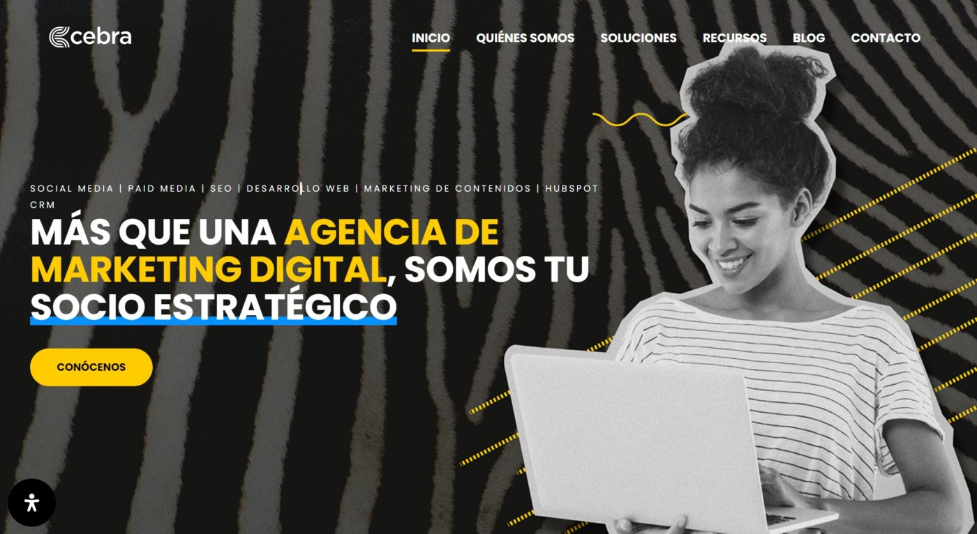 cebra agencia de marketing digital en santiago de chile