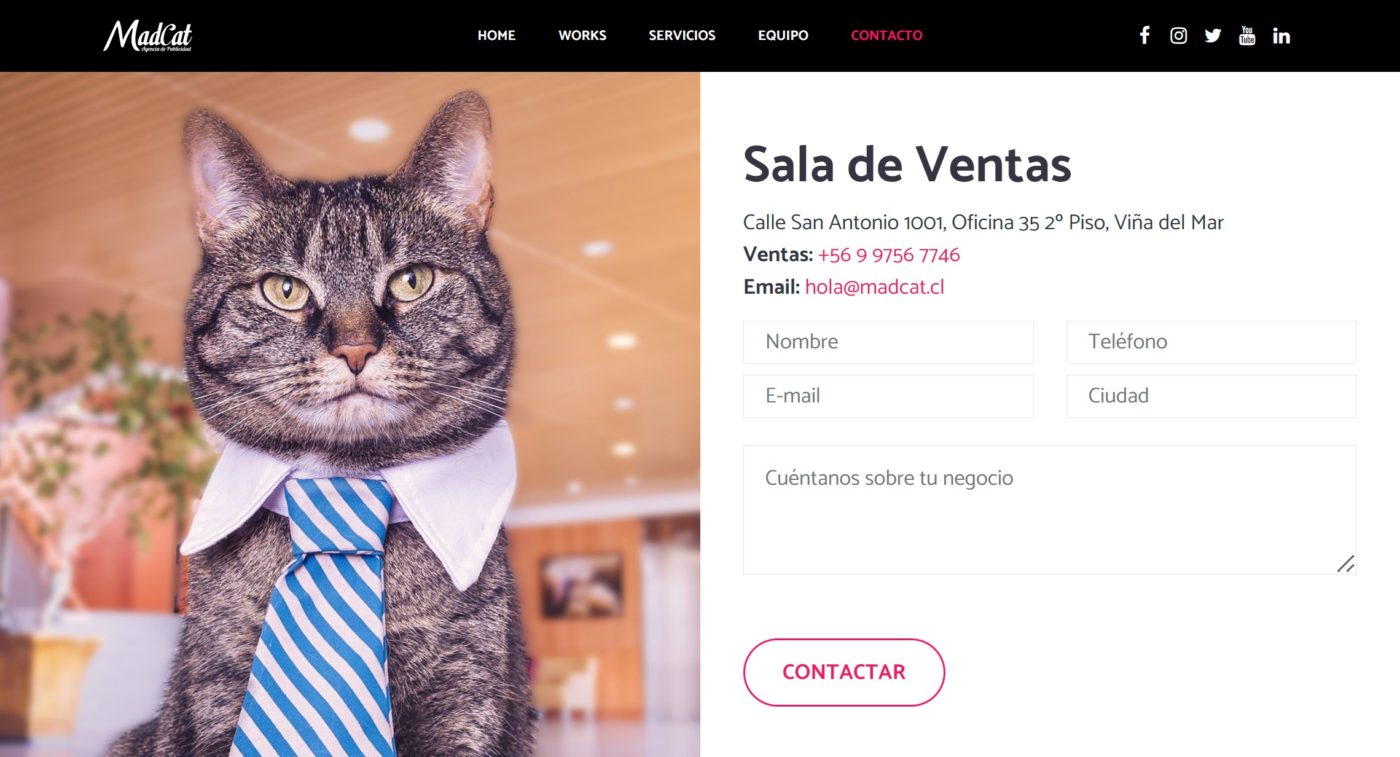 mad cat agencia de marketing digital en valparaiso