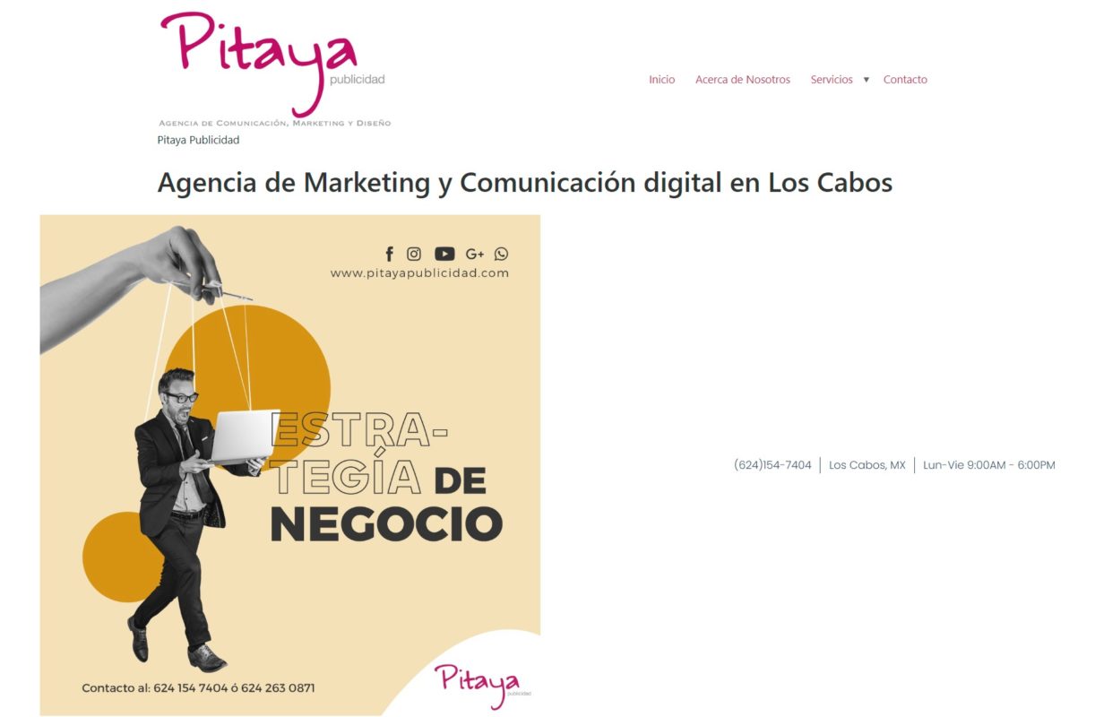 pitaya agencia de marketing digital en cabo san lucas