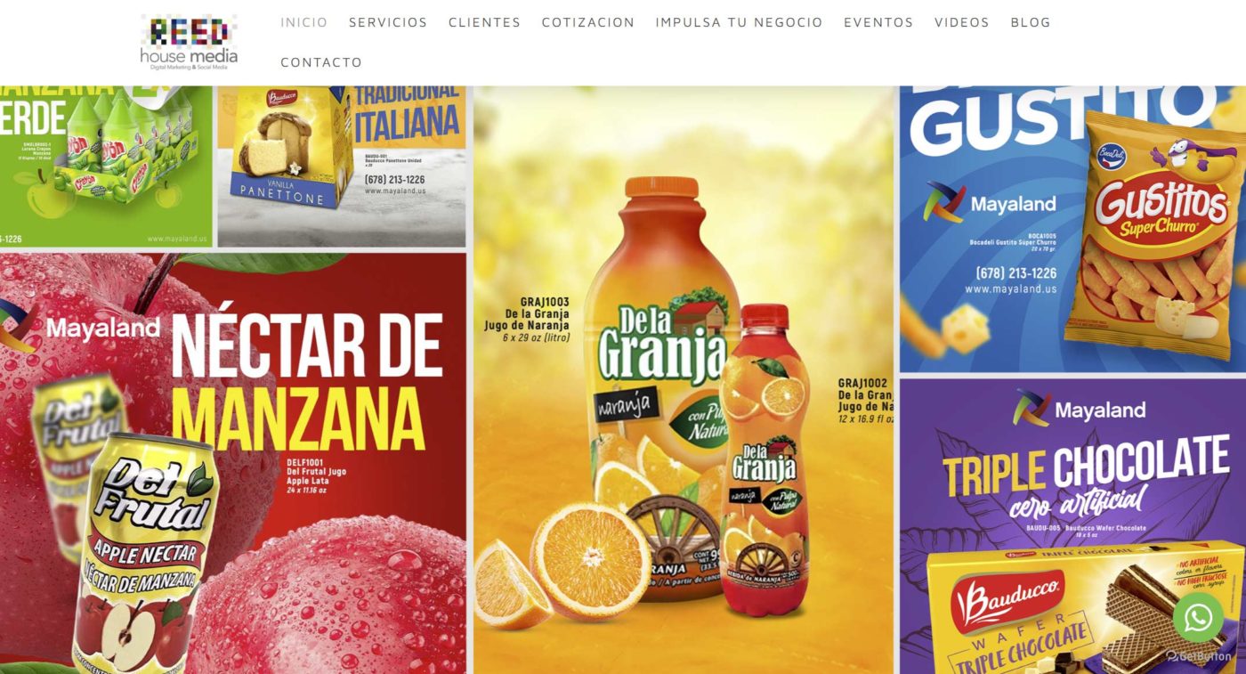 reed house media agencia de marketing digital en guanajuato