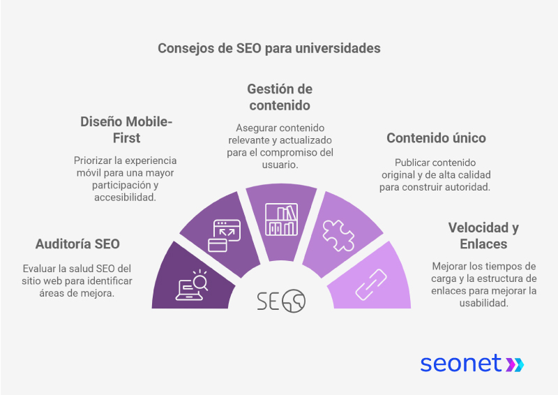 consejos de seo para universidades