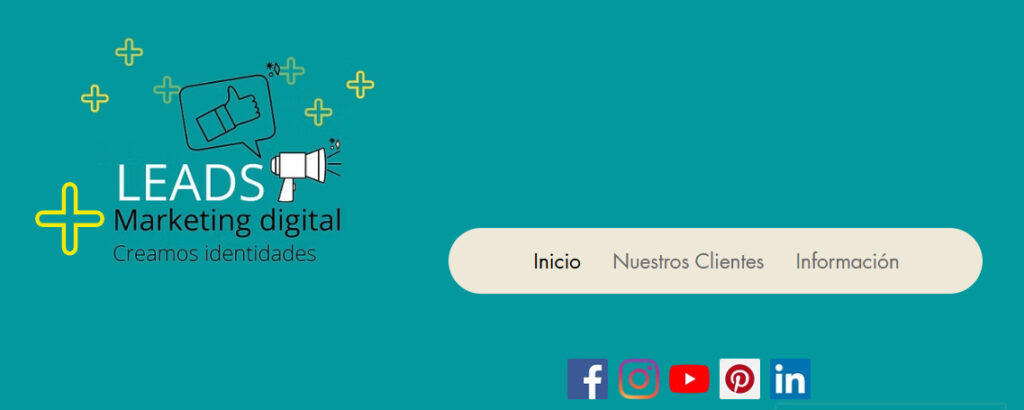 leads agencia seo en mexicali