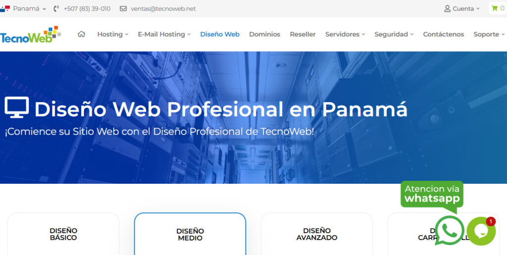 tecnoweb agencia de diseño web en panama