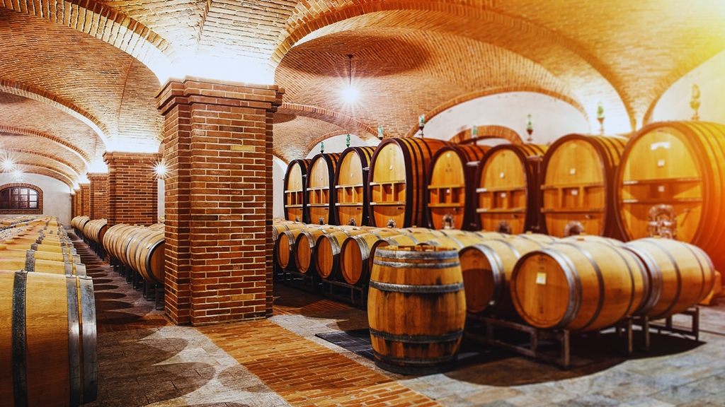 contenido visual bodega