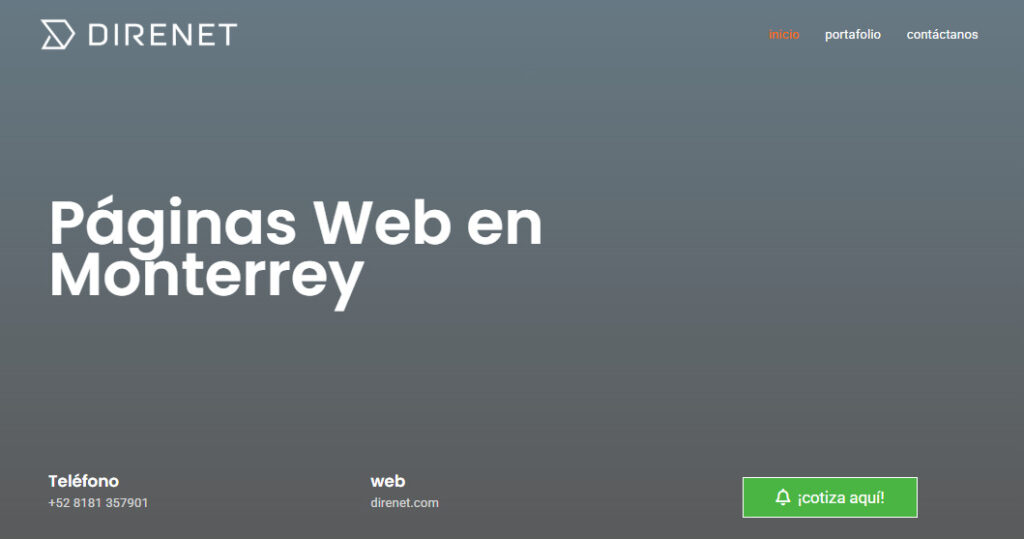 direnet agencia de diseño web en monterrey
