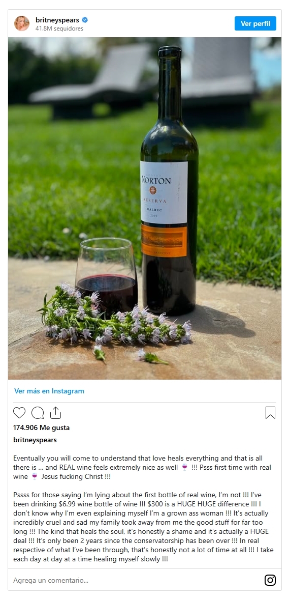 influencer britney spears_ - norton