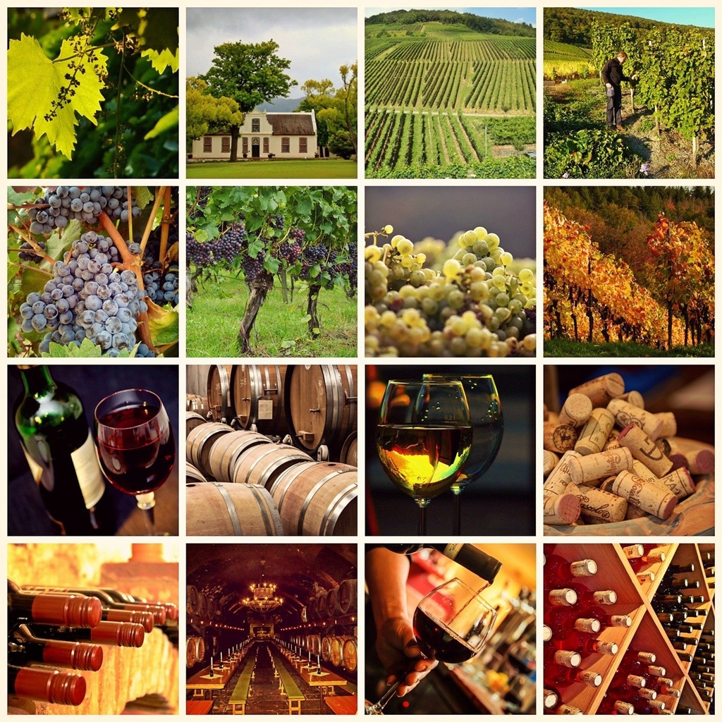 marketing para vinos inicio
