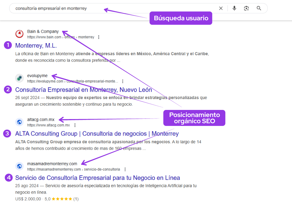 seo para consultoras