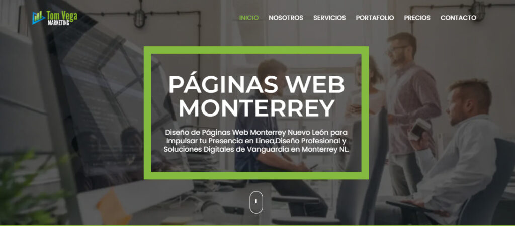 tom vega agencia de diseño web en monterrey