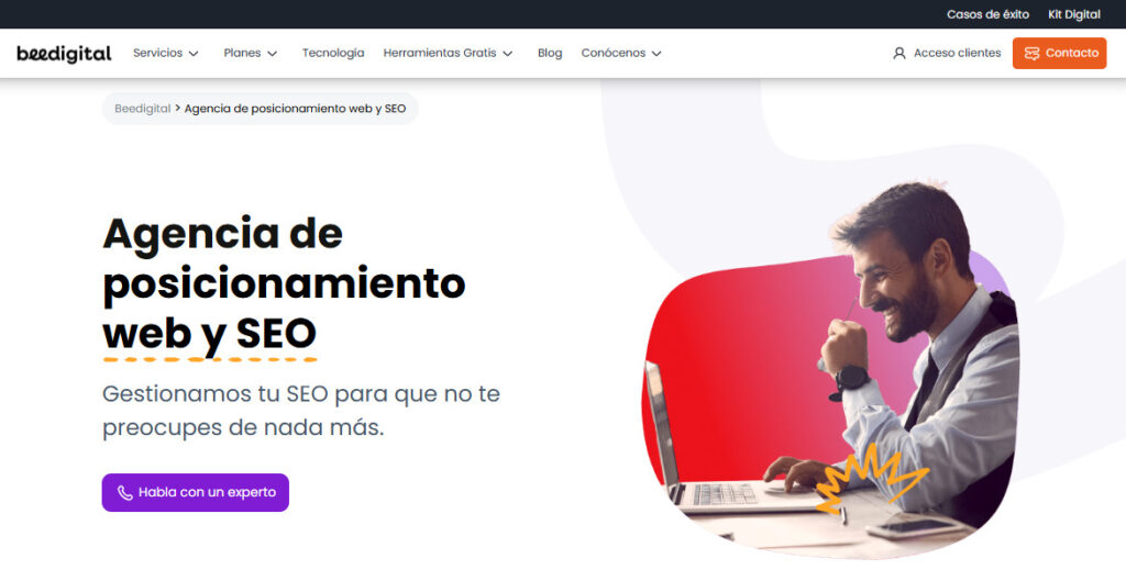beedigital agencia seo en españa