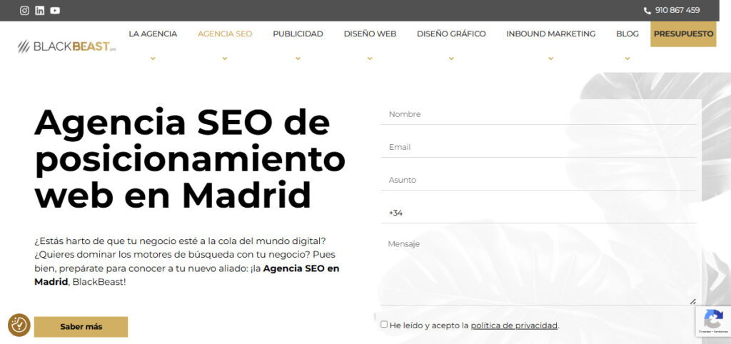 black beast agencia seo en madrid
