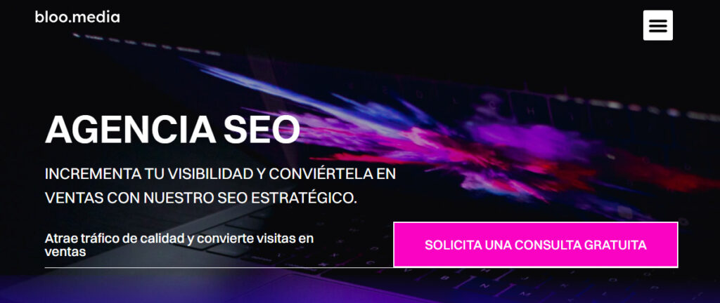 bloo media agencia seo en valencia