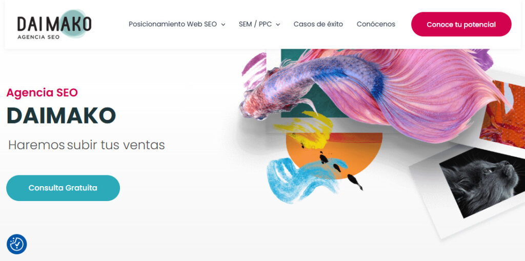 daimako agencia seo en valencia