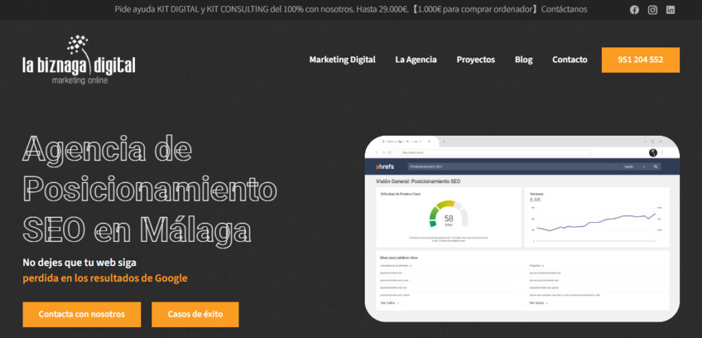 la biznaga agencia seo en malaga