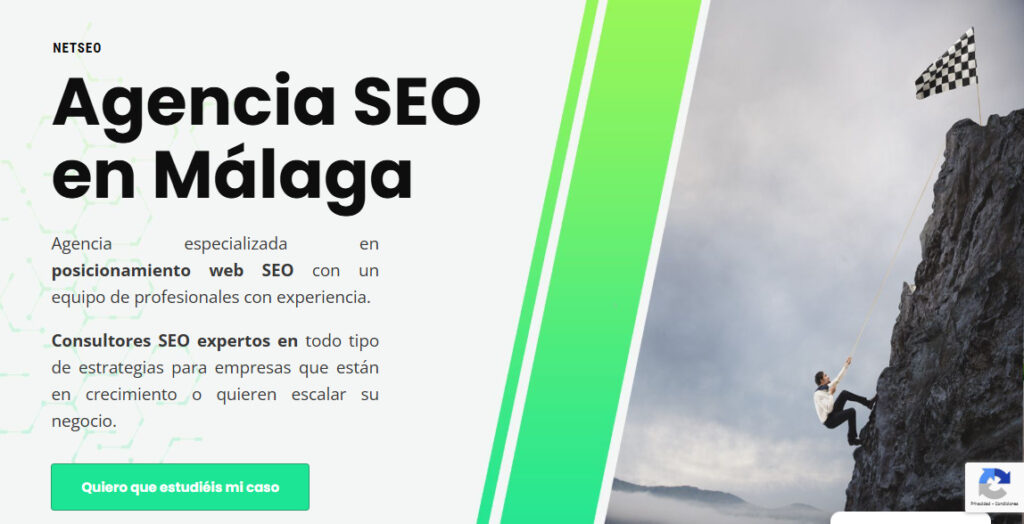 netseo agencia seo en malaga