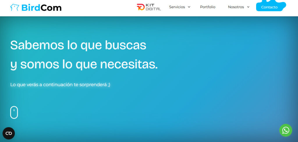 birdcom agencia seo en zaragoza