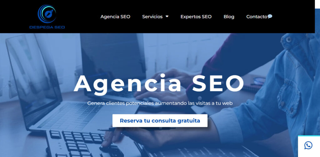 despega seo agencia seo en almeria