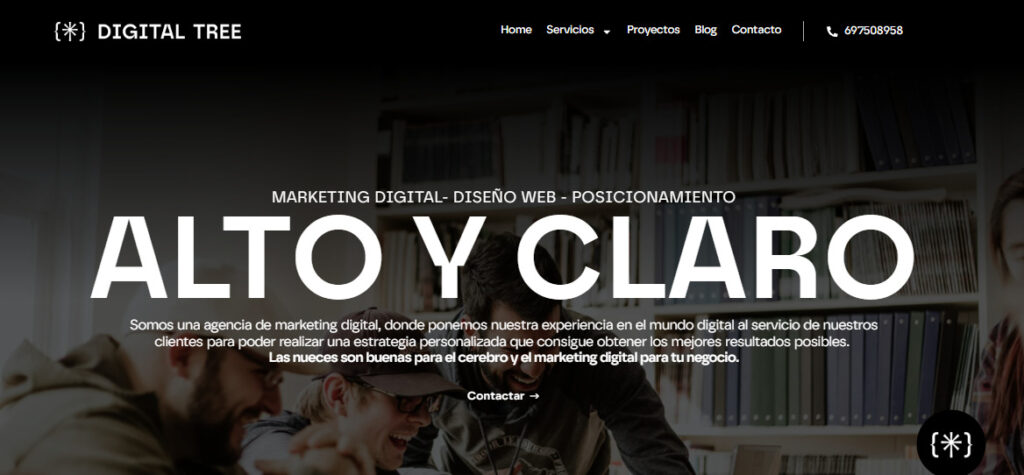 digital tree agencia seo en asturias_