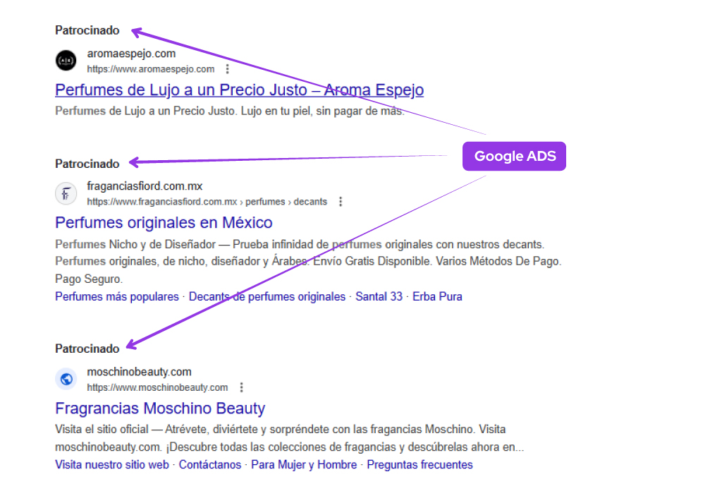 google ads para perfumerias