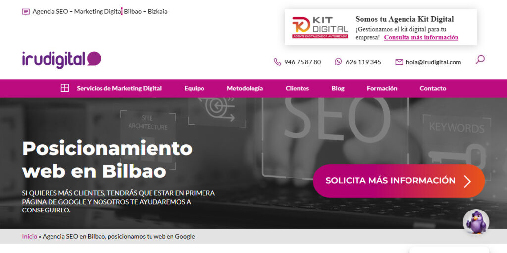 irudigital agencia seo en bilbao