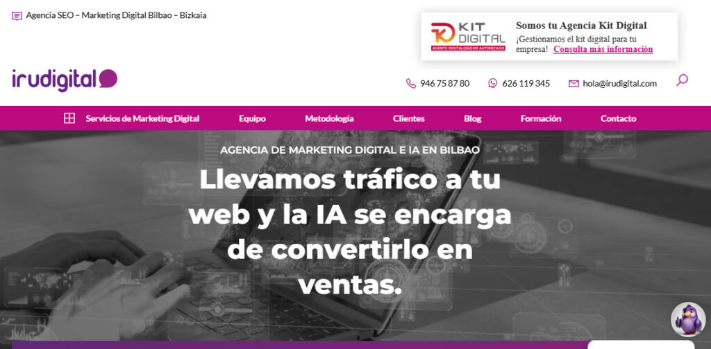 irudigital agencia seo en vizcaya