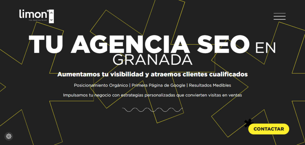 limon agencia seo en granada