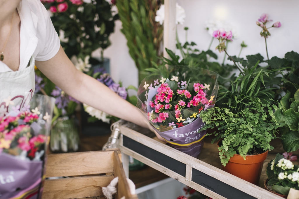 marketing para florerias intro