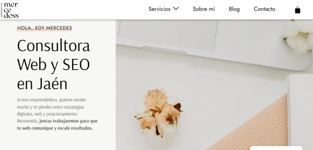 mercedess agencia seo en jaen