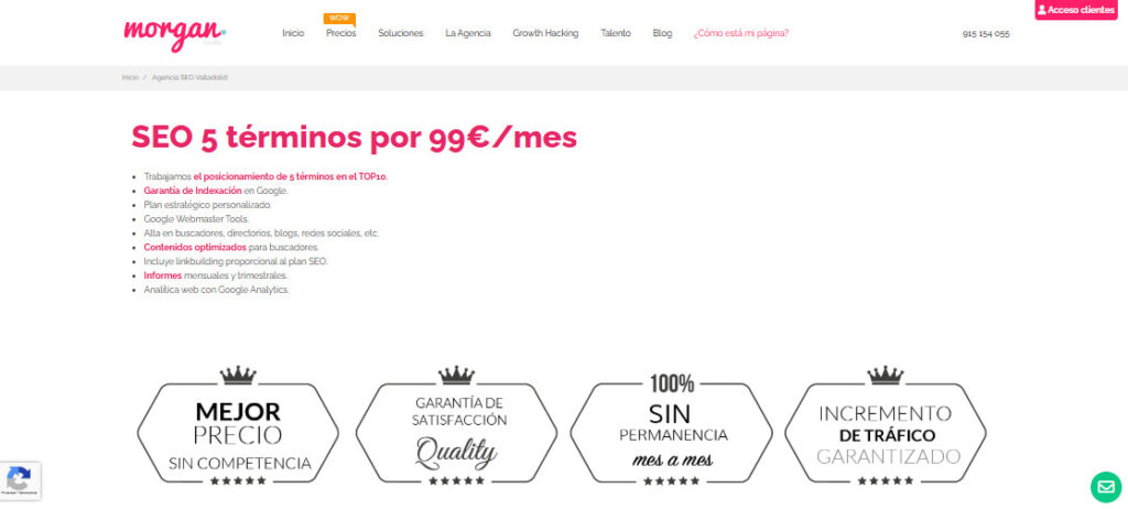 morgan media agencia seo en valladolid