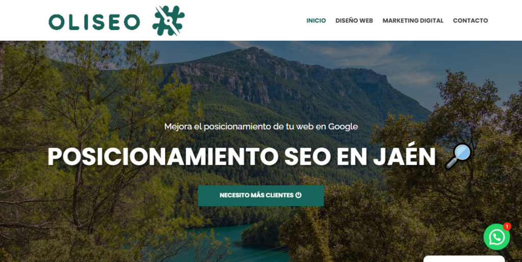 oliseo agencia seo en jaen