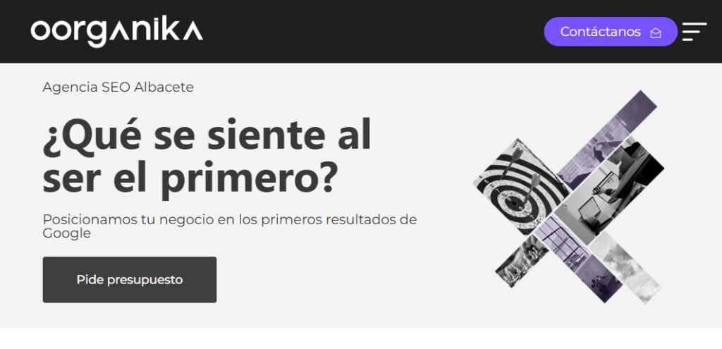 oorganika agencia seo en albacete
