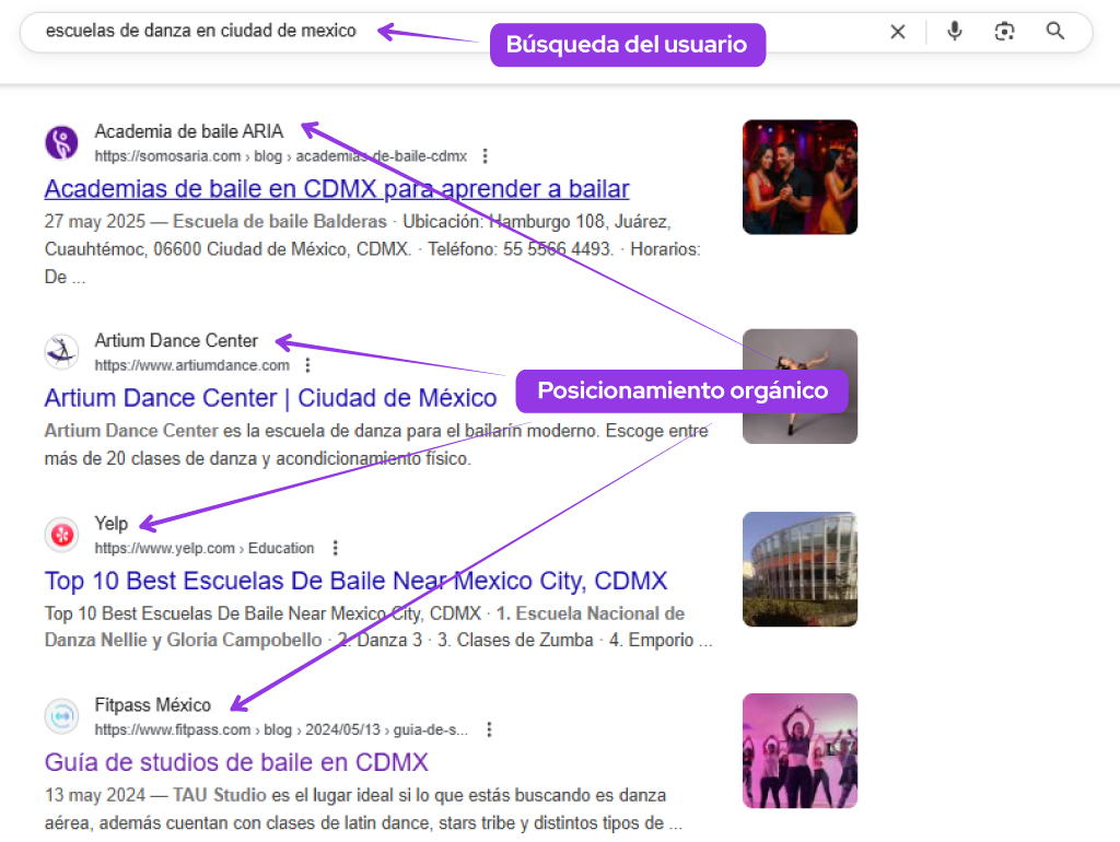 resultados organicos academia de baile mexico
