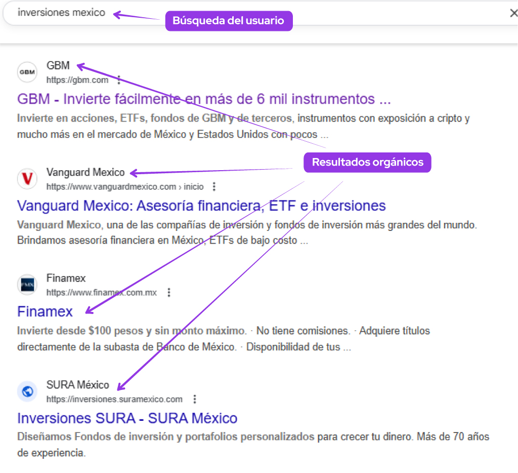 seo marketing bursatil