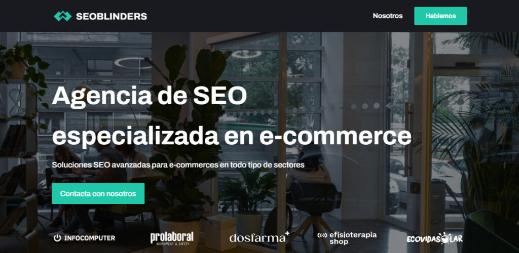 seoblinders agencia seo en almeria