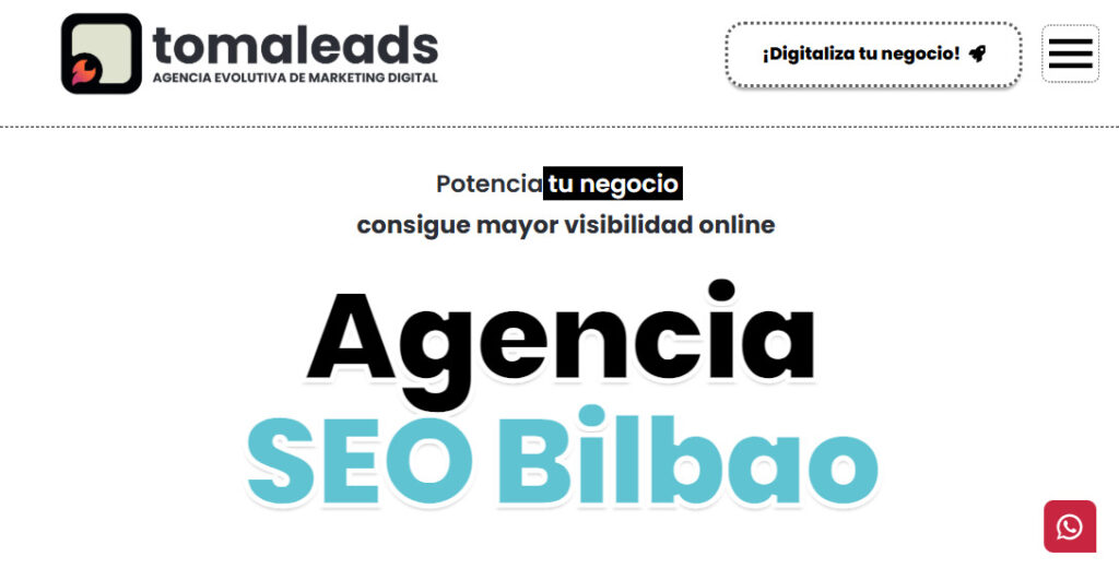 tomaleads agencia seo en bilbao