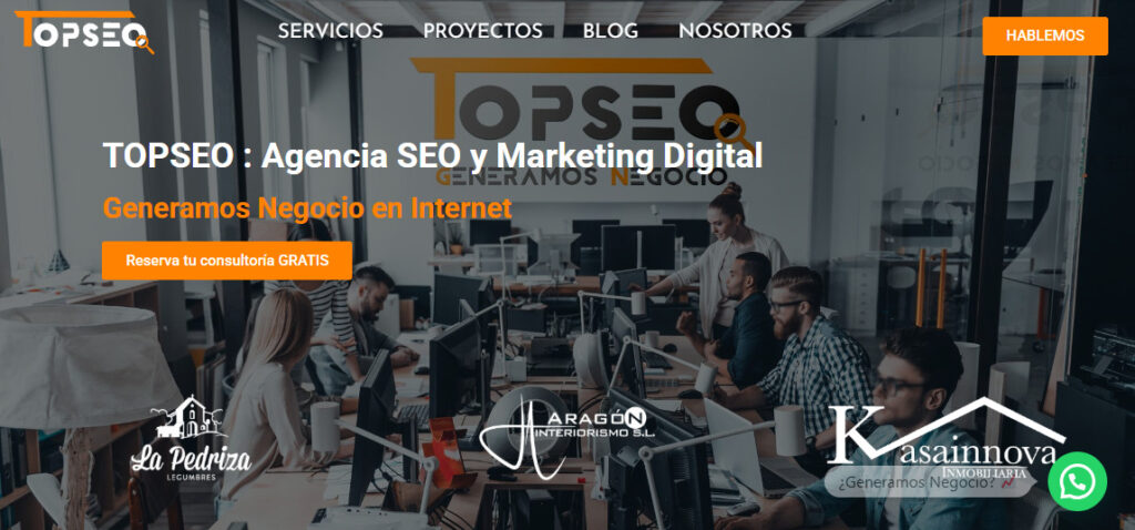 topseo agencia seo en cadiz