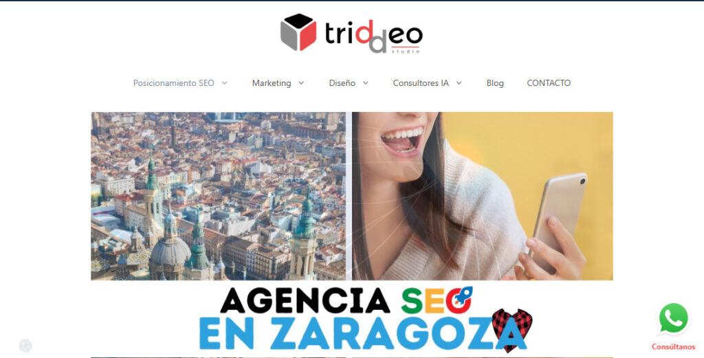 triddeo agencia seo en zaragoza