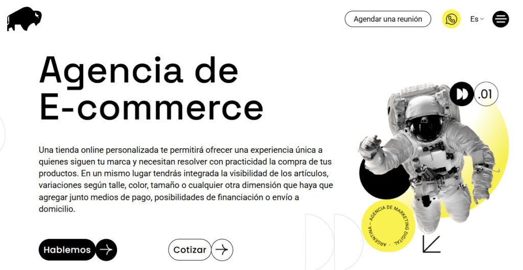 buffalo agencia de ecommerce en argentina
