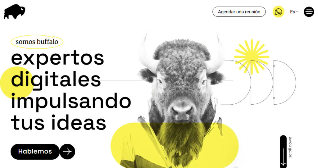 buffalo agencia de google ads en argentina